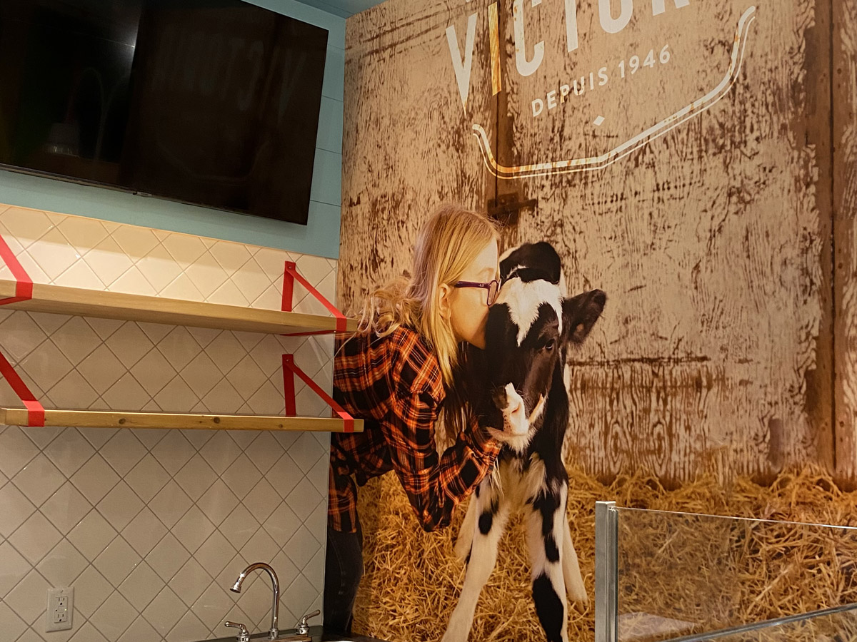 Installation de murales dans toutes les succursales de la Fromagerie Victoria